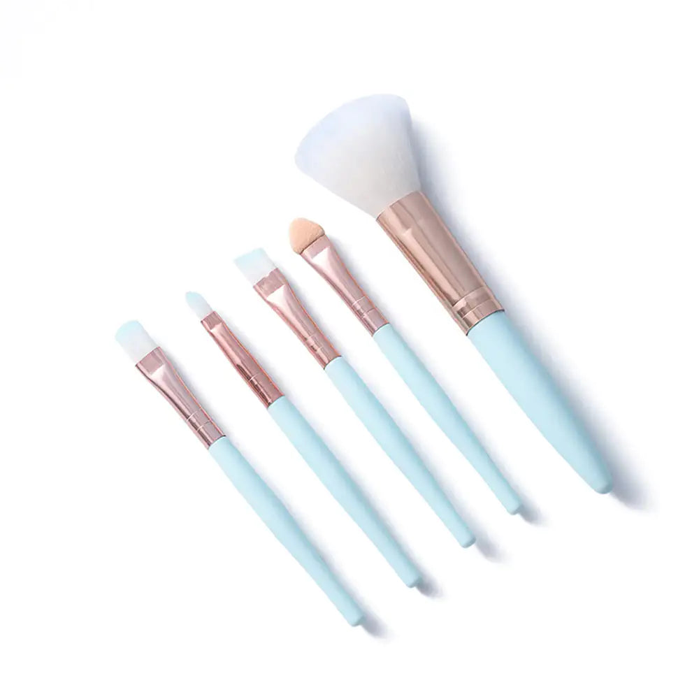 5pcs Makeup Brush Set - Beginner Beauty Tools